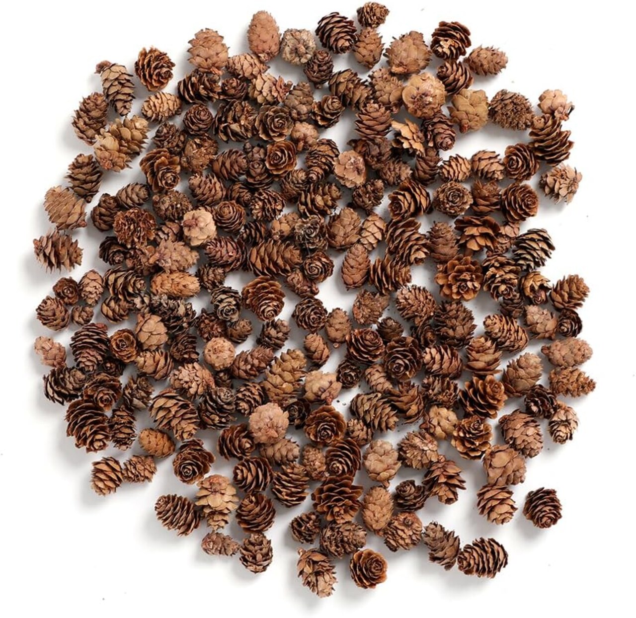 Pine Cones, Mini Pinecones in Bulk for Crafts, 8OZ, Pack of 110 (Natural)